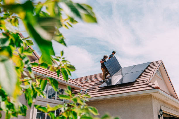 Best Roof Moss and Algae Removal  in Powderly, TX